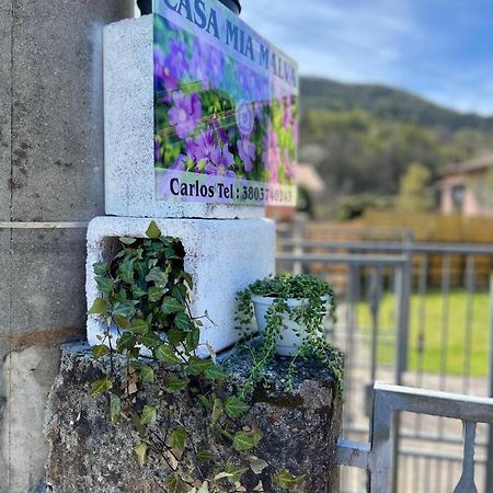 Casa Mia Malva Apartment Riccò del Golfo di Spezia Exterior foto